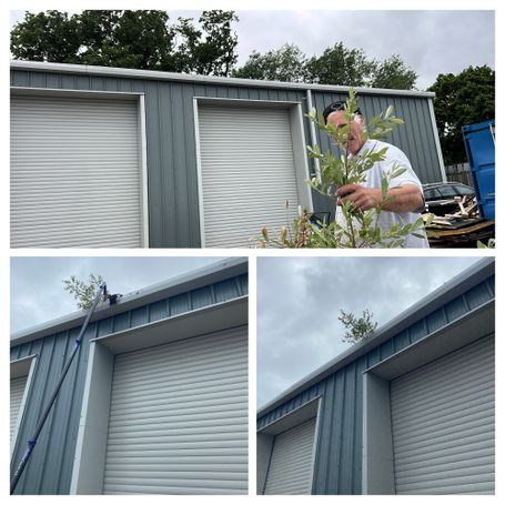 Tree removed from commercial unit in Decoy commercial unit